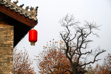 荷花小镇风景